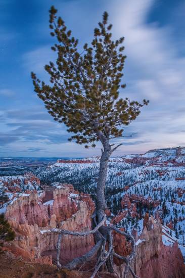 Photo - USA - Bryce Canyon #20